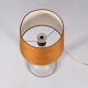 Frosted glass lamp and wild silk