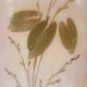 Opaline pink vase Napoleon III period