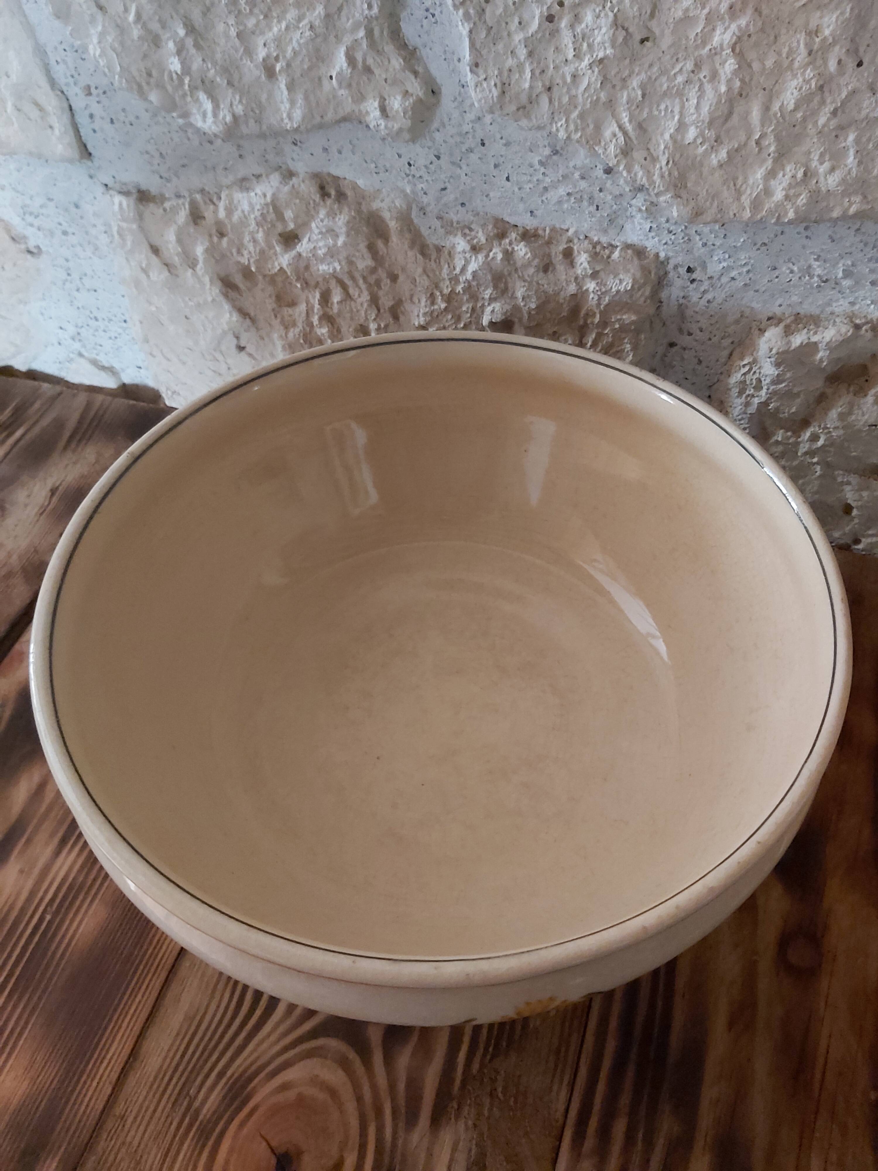 Salad bowl Creil and Montereau pattern Carnations