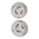 Presentation plates XlX