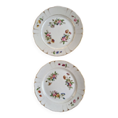 Presentation plates XlX