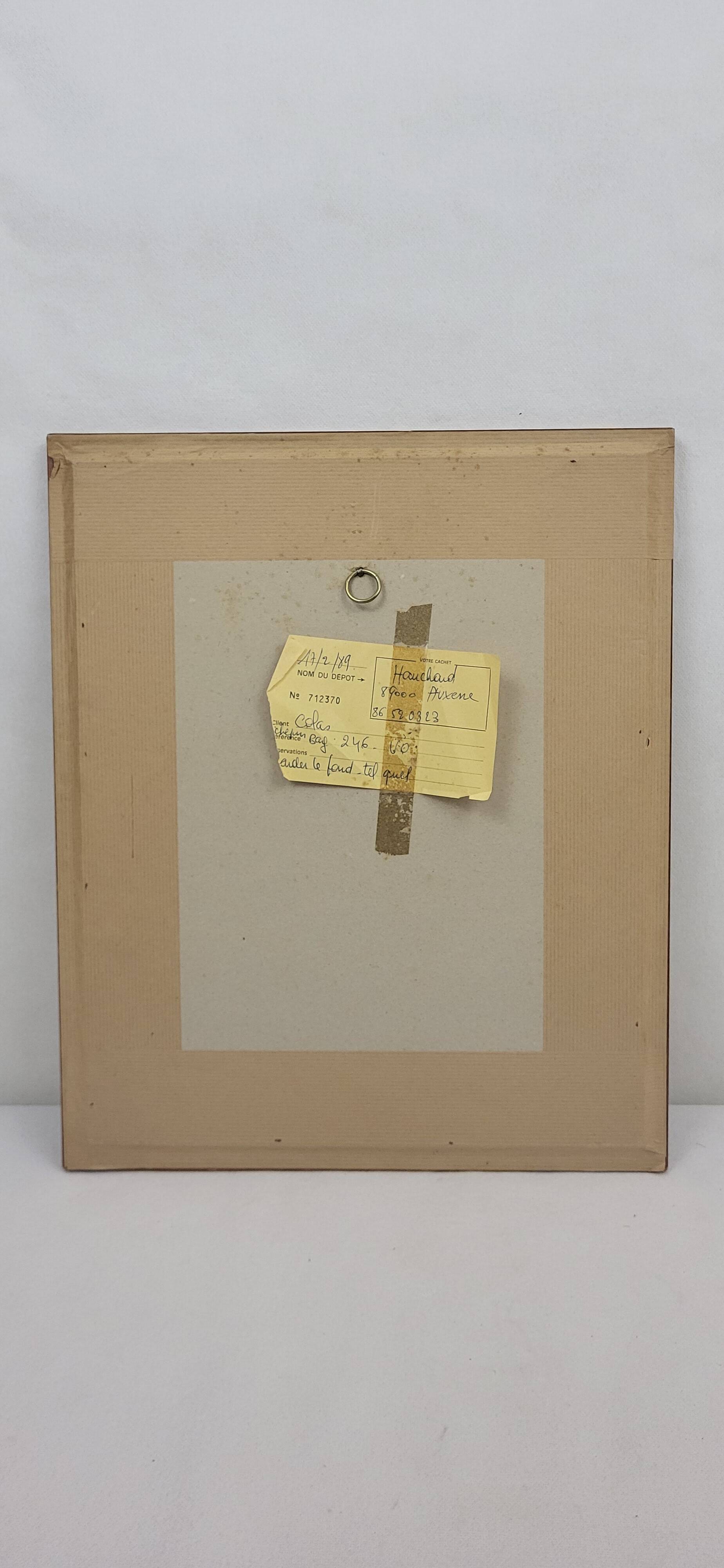 Botanical plate engraving Pine