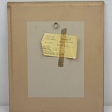 Botanical plate engraving Pine