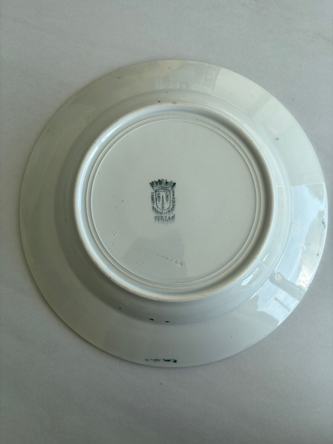 A deep plate in blue and green ironstone, antique French earthenware.