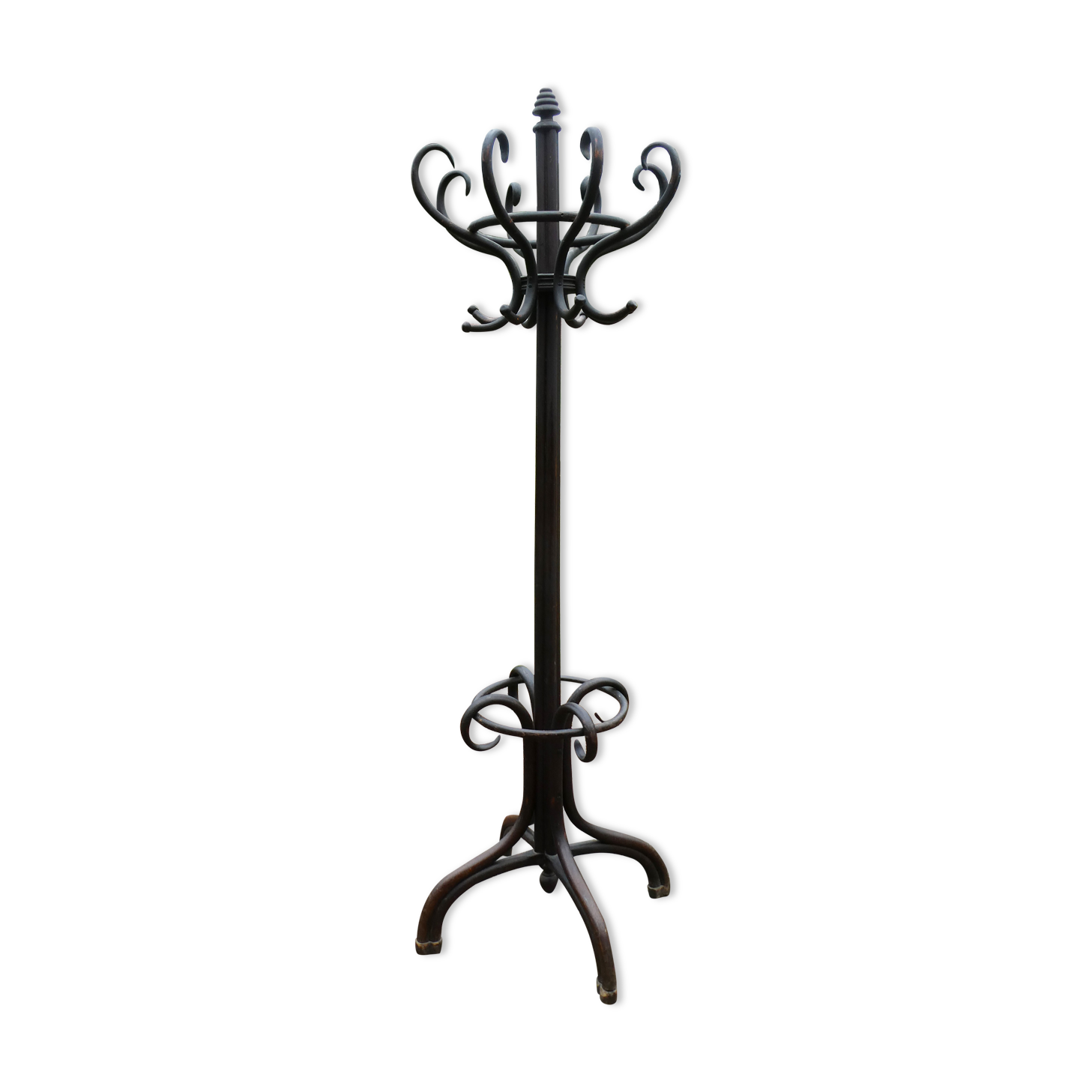 Porte-manteaux perroquet en bois courbé - Art Nouveau