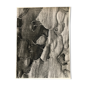 Photographie noir et - blanc