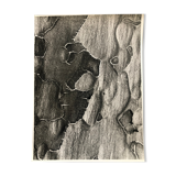 Photographie noir et blanc argentique