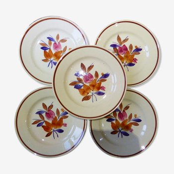 5 assiettes plates