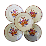 5 assiettes plates