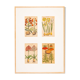 Botanical Drawings from the 18th Century, Colored Copperplate, 83 x 113 cm