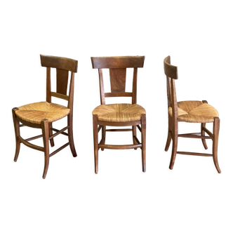 3 chaises rustique paillées en bois massif Directoire