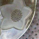 Grande Coupe a fruits en verre et verre dépoli, jaune, motif floral