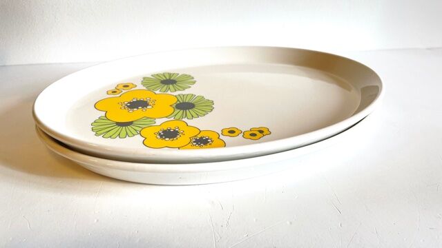 2 Oval Ceramic Dishes English