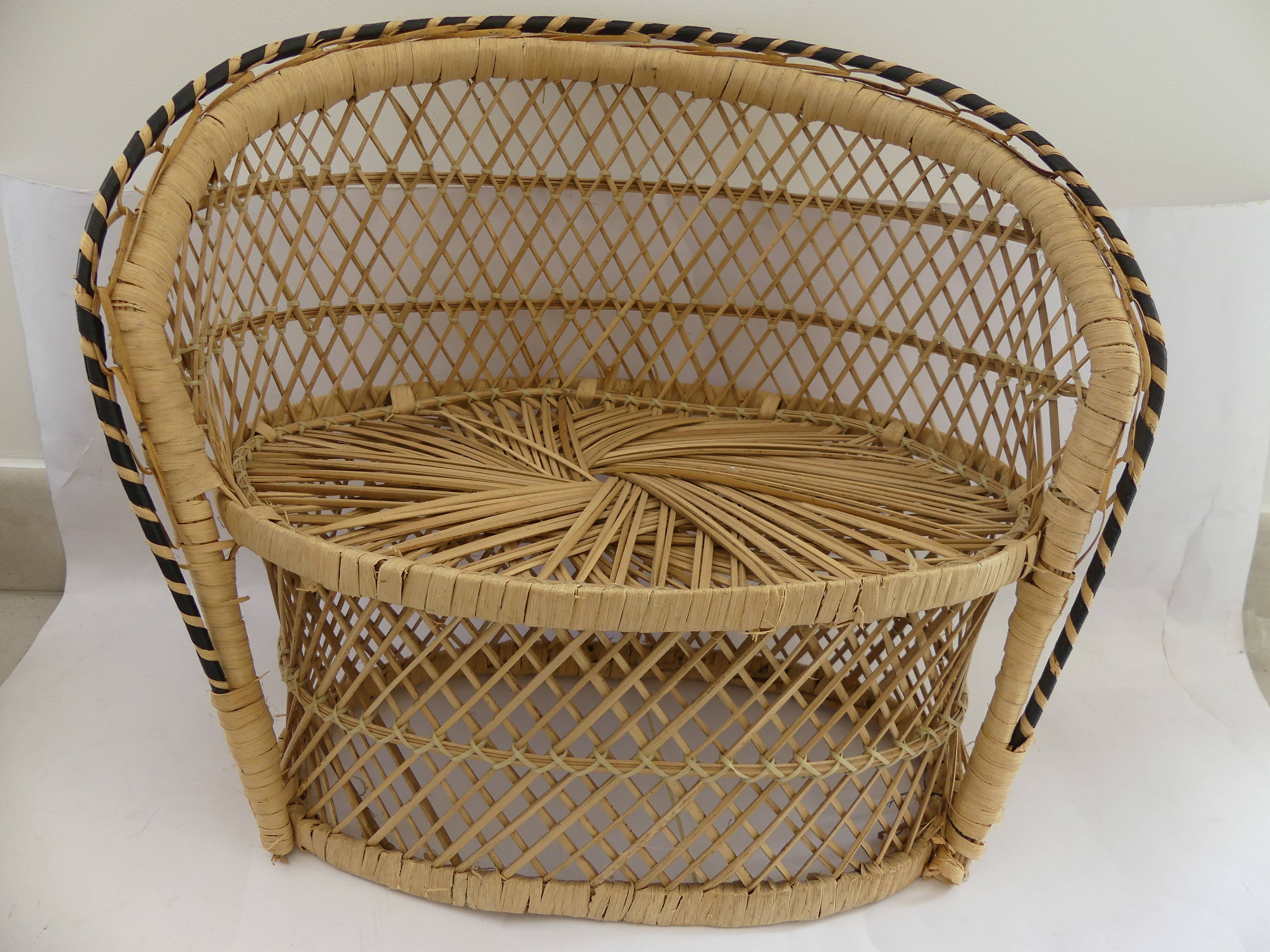 Double door wicker plant armchair