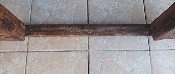 Anciennes portes de placard, bibliothèque murale en hêtre (1)