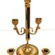 Chandelier with the Fan, the Griffins and the Rooster - Louis XVIII - Gilded brass