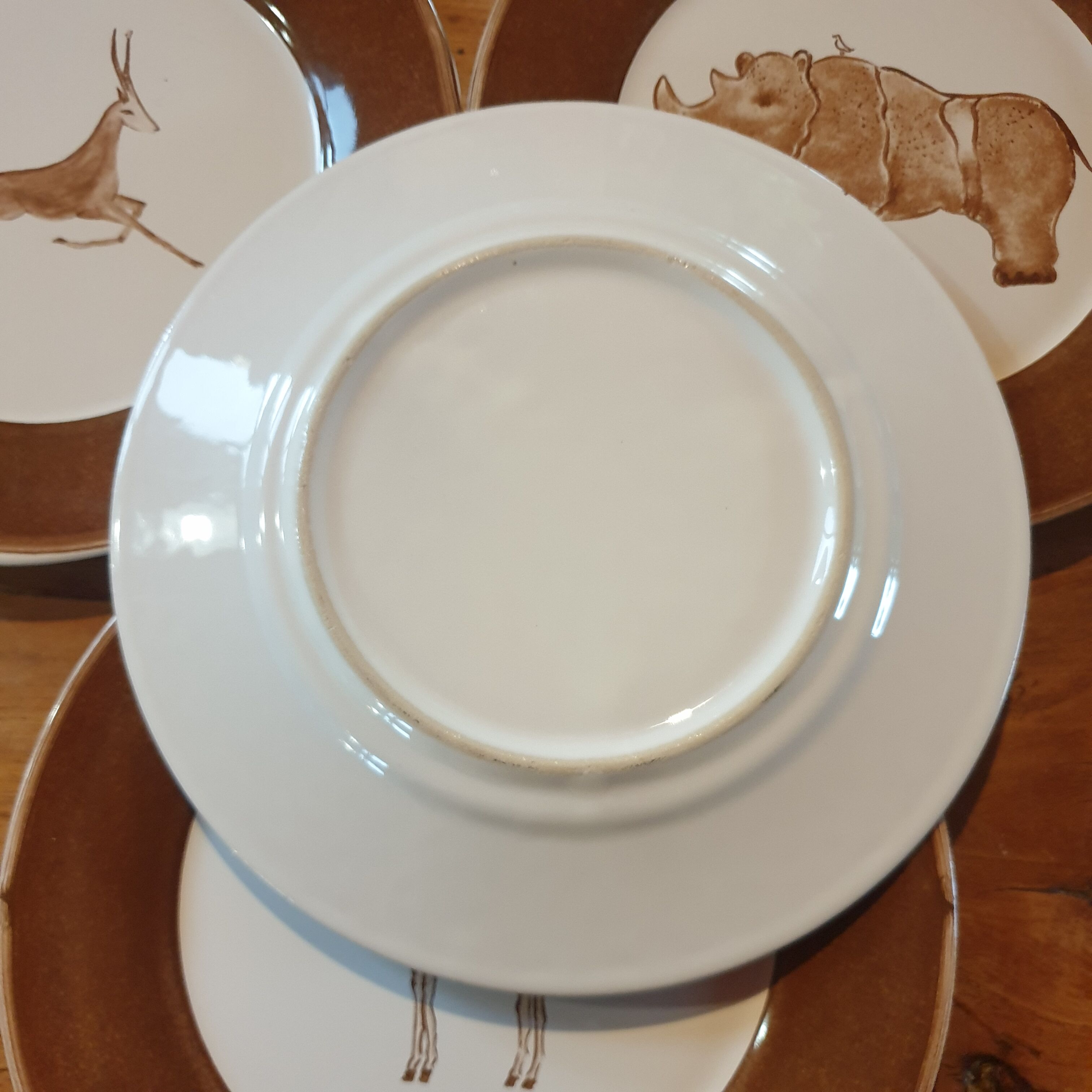 Set 5 assiettes à dessert animaux sauvages d'Afrique