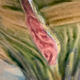 Slip pot cover