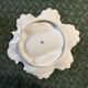 Limoges porcelain oyster plate BH, Art Nouveau botanical decoration.