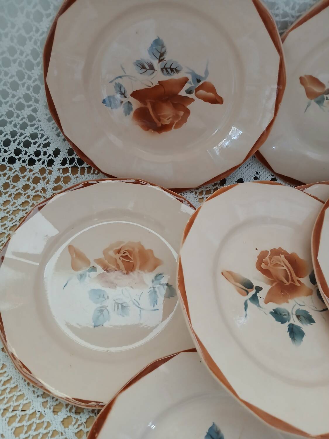 25 old Digoin and Sarreguemines plates