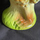 Carafe barbotine saint clément forme coq