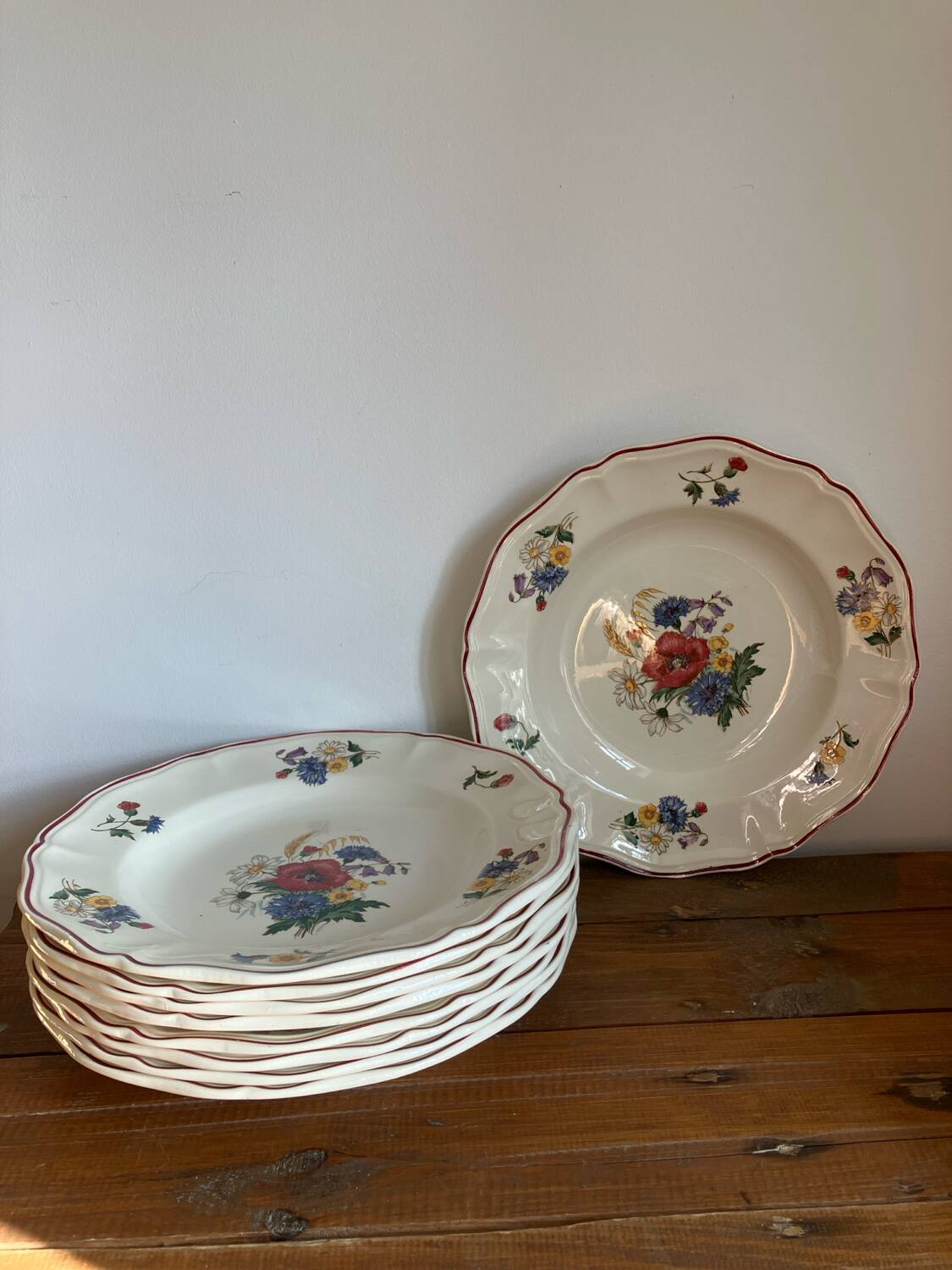 9 Sarreguemines soup plates