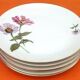 6 flat plates Fine Bohemian porcelain Floral decoration on a white background