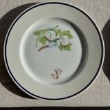 Set of 12 cheese plates France Chavroux 1990s D 21.5