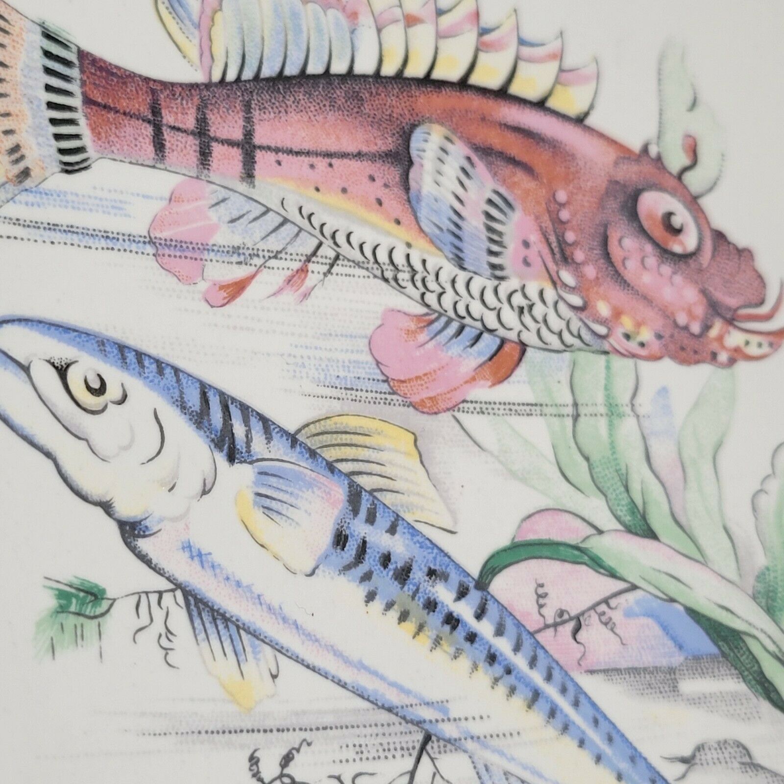 6 old fish plates in Salins earthenware France vintage oval