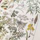 Poster about dangerous plants "hemlock", from a 1920 lithograph