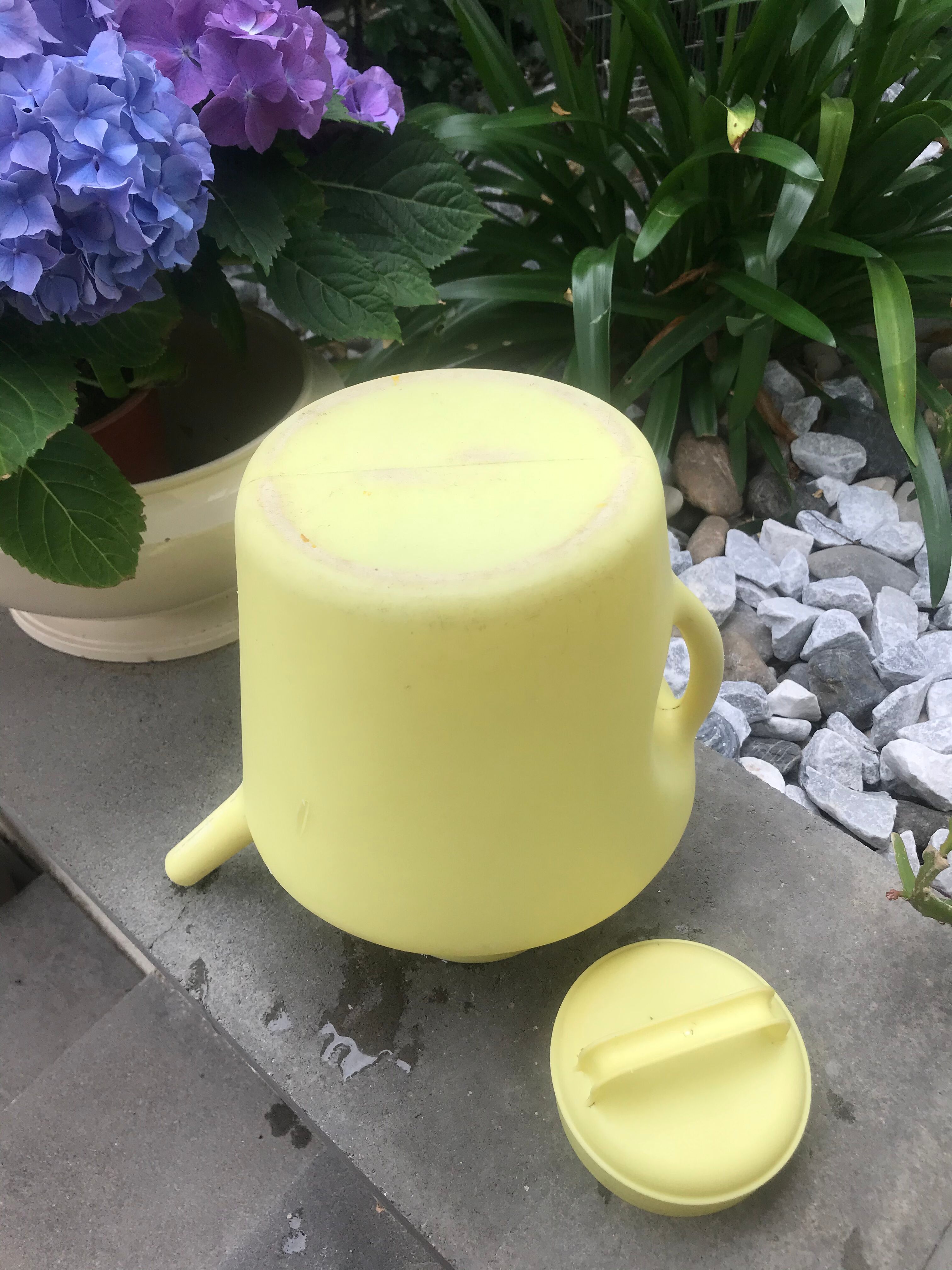 Vintage watering can