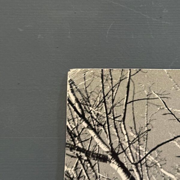 Photo noir et blanc intitulée Boules de Guy par Robert Laporte XXe