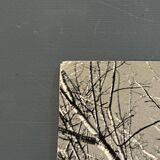 Black and white photo entitled Boules de Guy by Robert Laporte 20th century