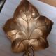 Empty pocket golden leaf