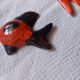 Set of 10 ceramics animals, fish, butterfly
