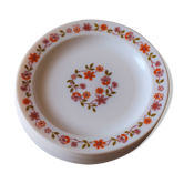 Lot 8 plates Scania Arcopal flowers orange pink Vintage