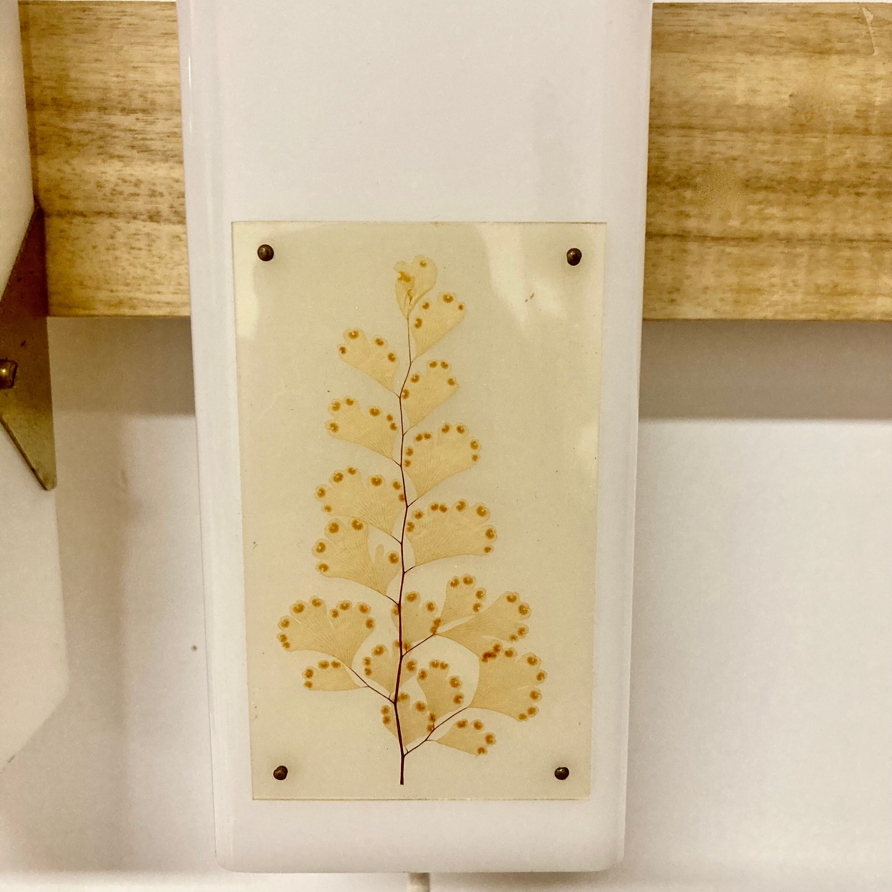 Paire d'appliques design scandinave 1950