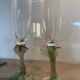 Daum champagne flutes nature collection