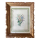 Tableau Aquarelle "Fleurs du jardin" signé début XX°