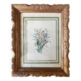 Tableau Aquarelle "Fleurs du jardin" signé début XX°