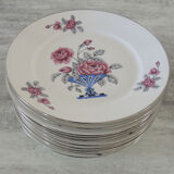 Limoges porcelain tableware set