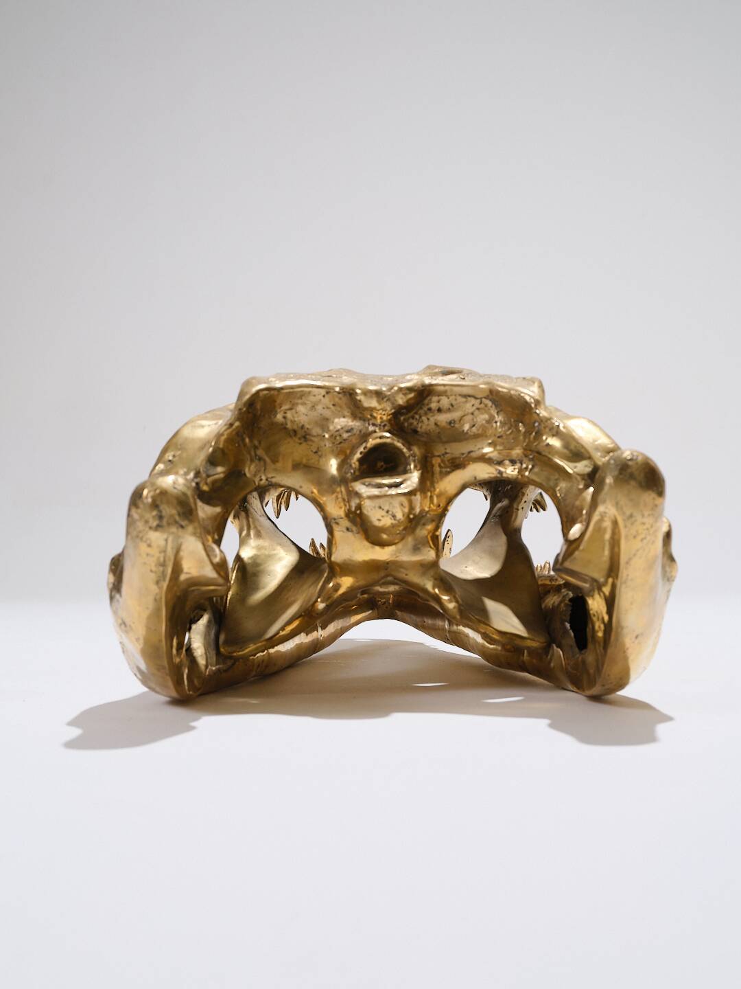 Large brass crocodile head