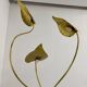 Rhubarb leaf floor lamp brass design Tomaso Barbi Italy an70