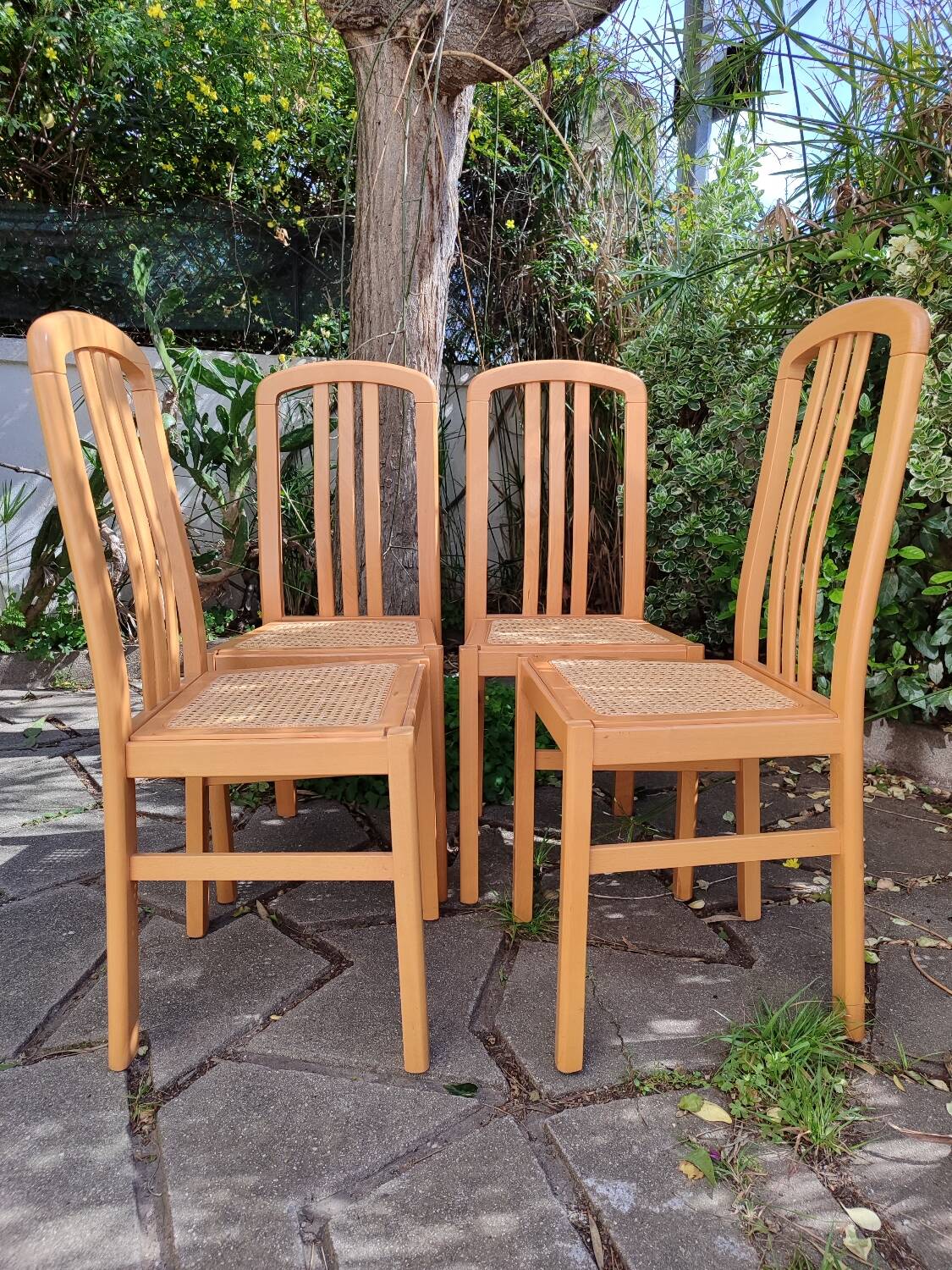 Chaises en bois et cannage