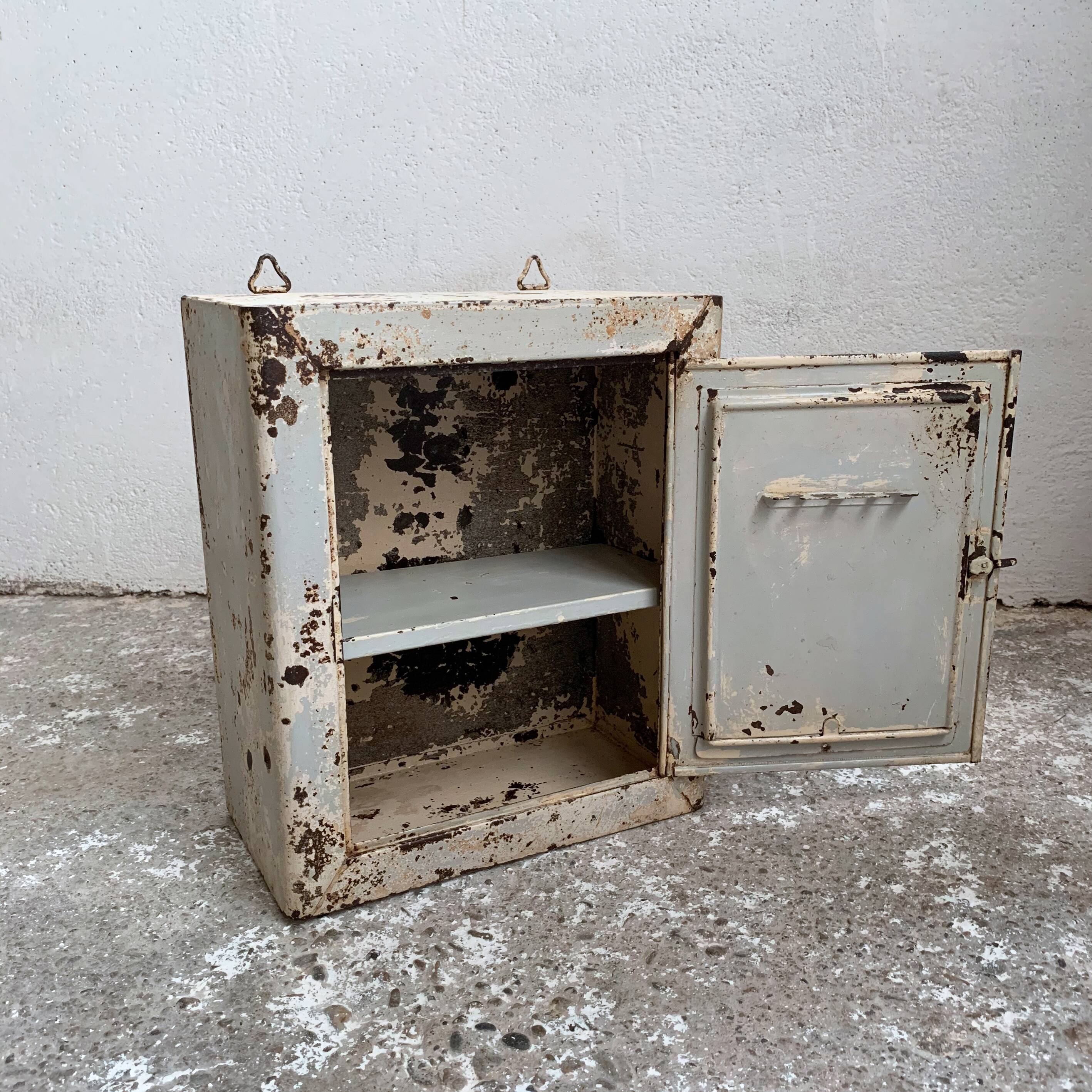 Pharmacy or toilet cabinet