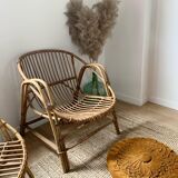 Rattan shell armchair adult model