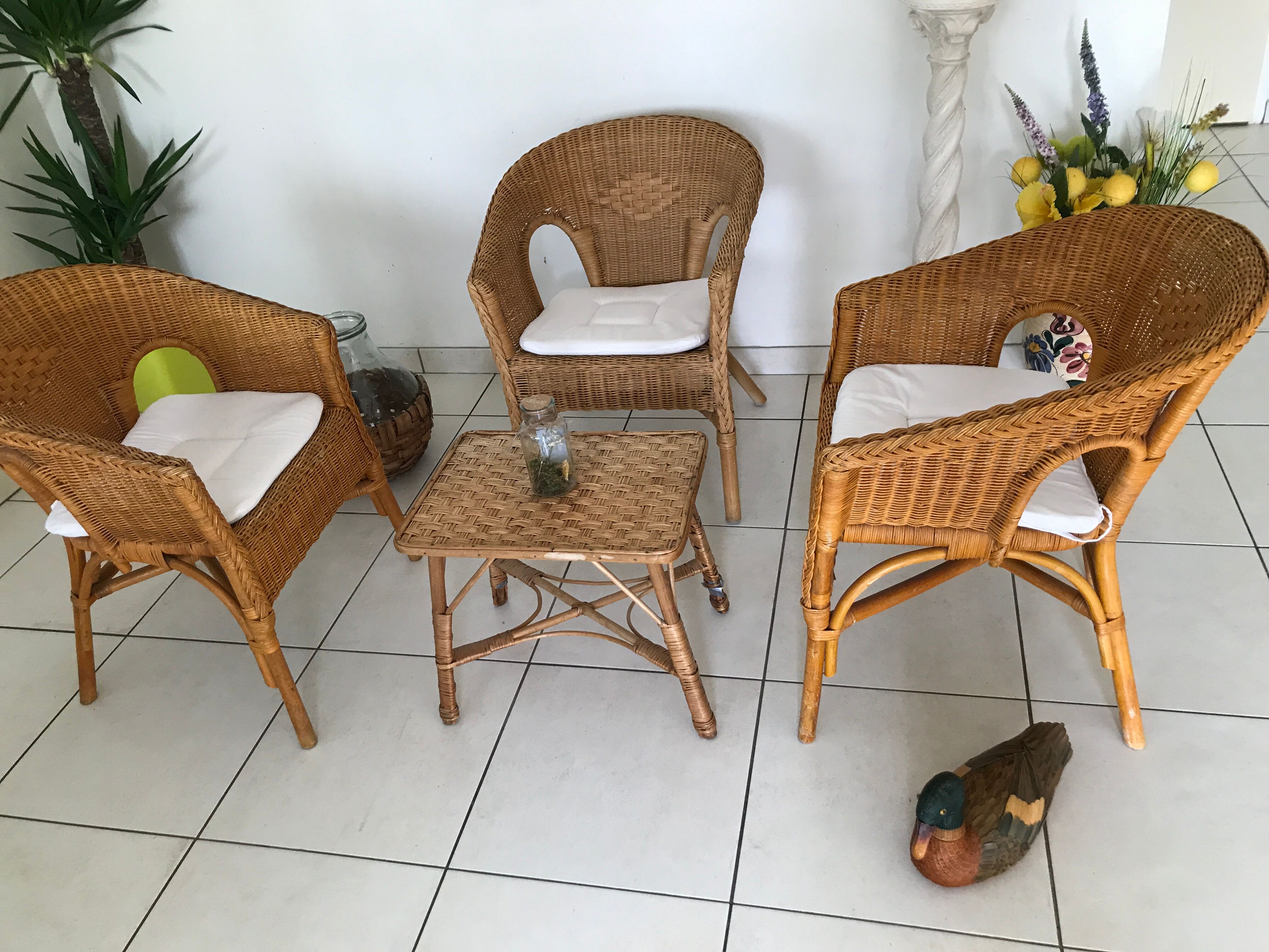 Vintage rattan garden set