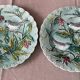 Duo of plates in barbotine decorated with two birds on a fruit tree