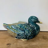 Duck in a slip