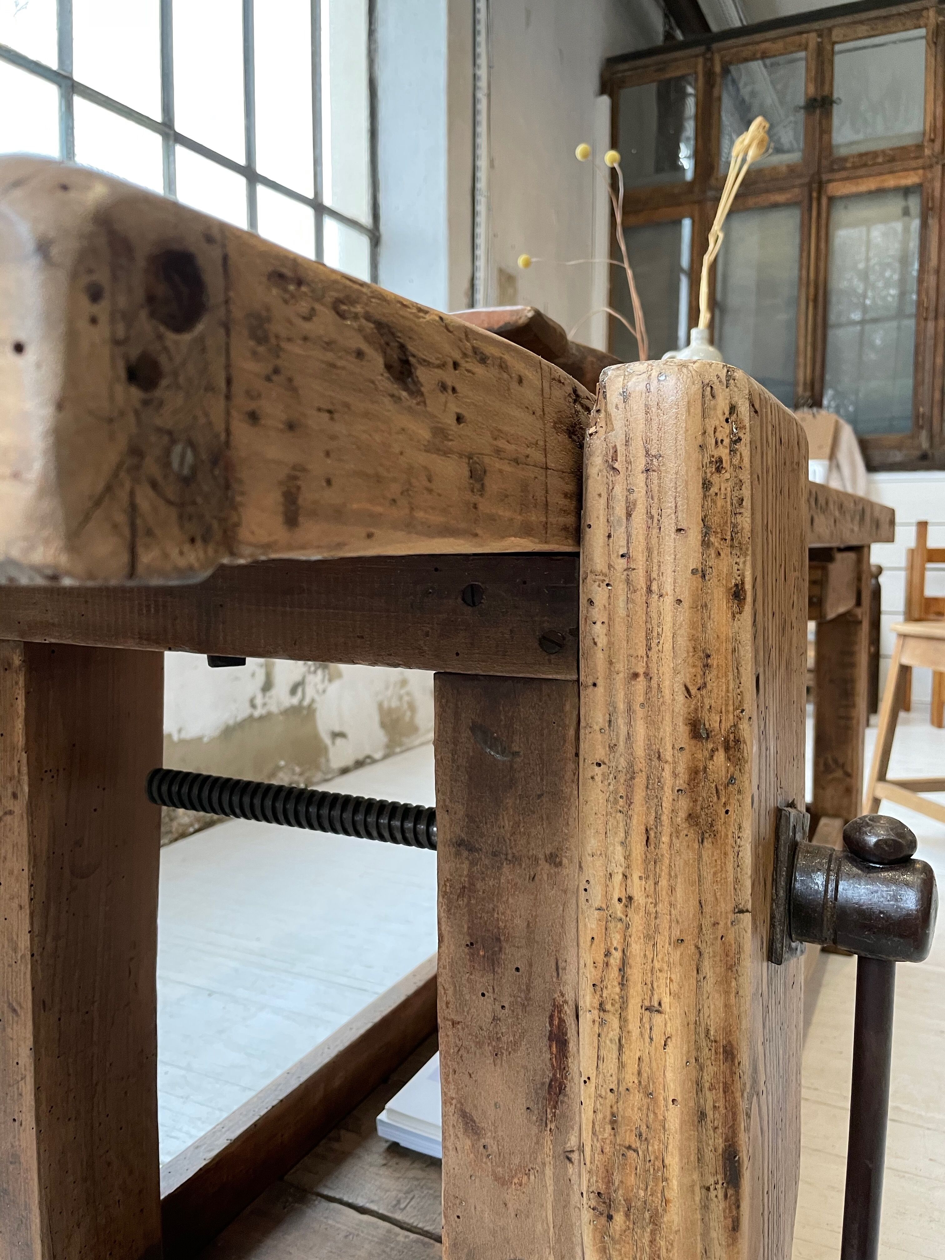 Established old oak XL